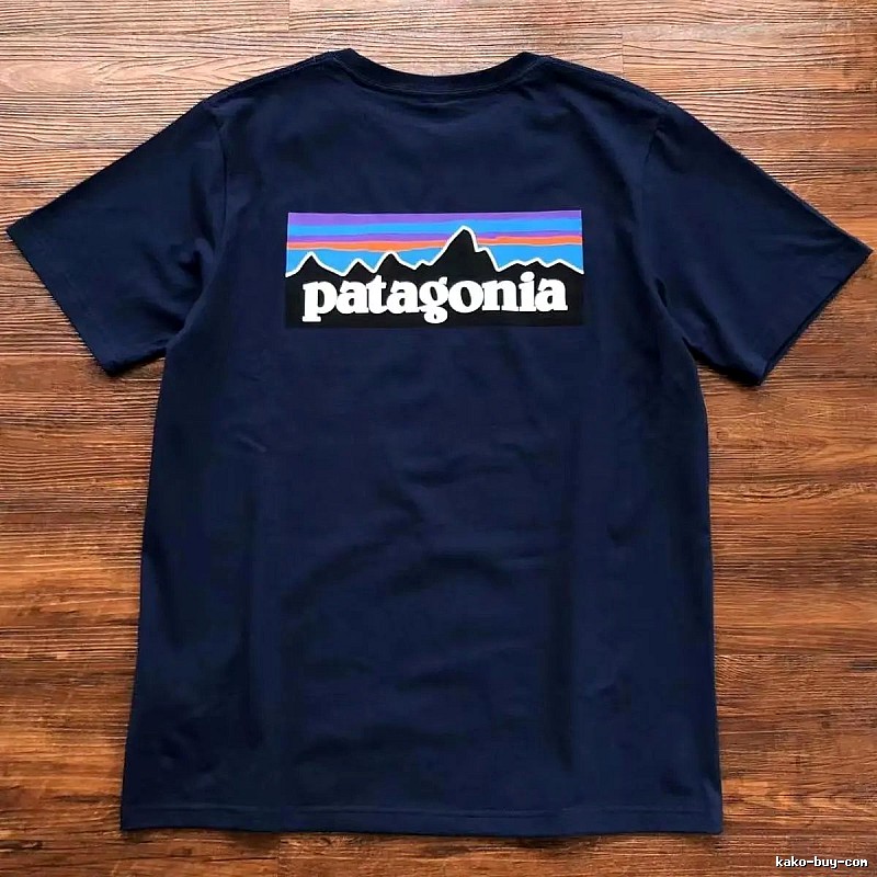 Patagonia Navy Logo T-Shirt City Outfit Graphic